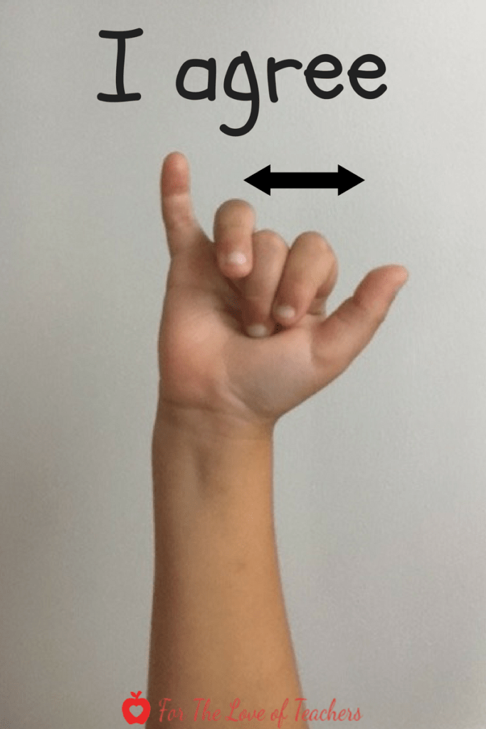 so American Sign Language (ASL)