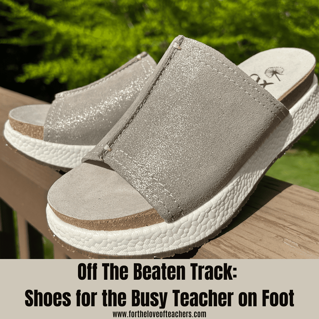 Off The Beaten Track: Shoes for the Busy Teacher on Foot
